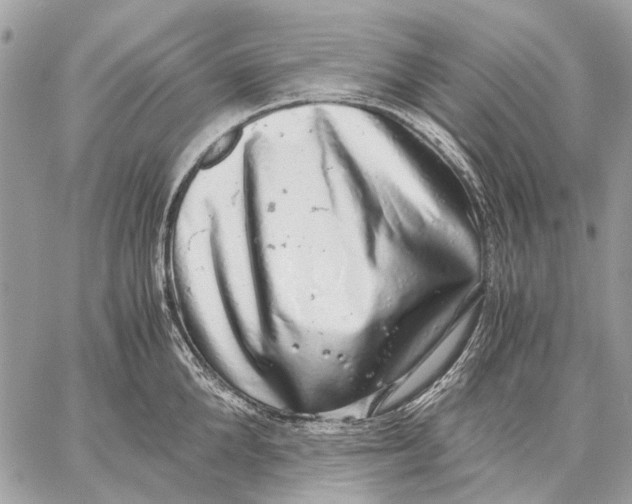 X0000058780904200510211745