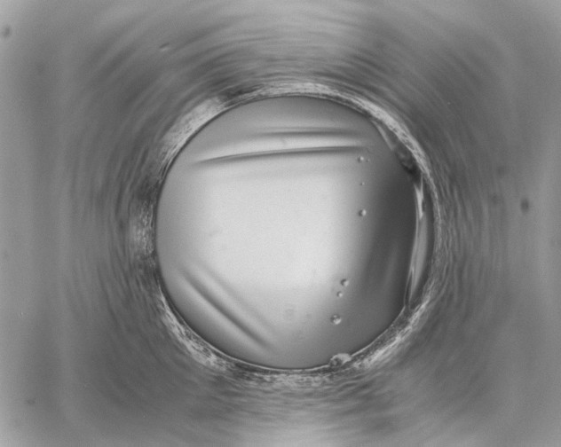 X0000058780905200510211745