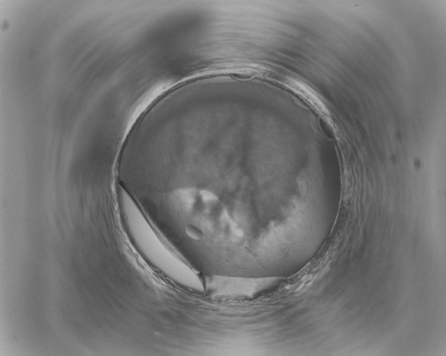 X0000058780907200510211745