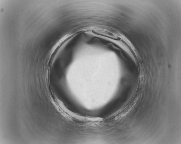 X0000058780909200510211745