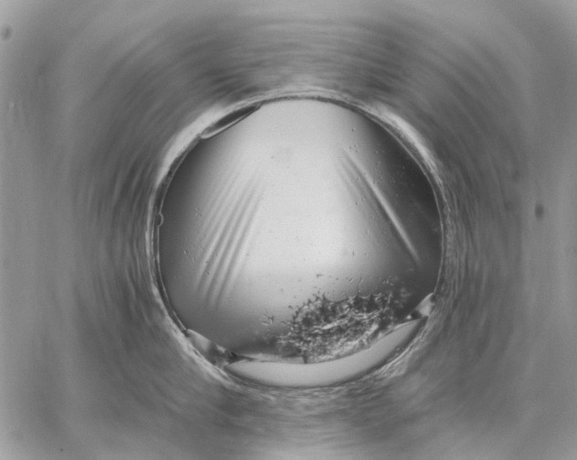 X0000058780910200510211745