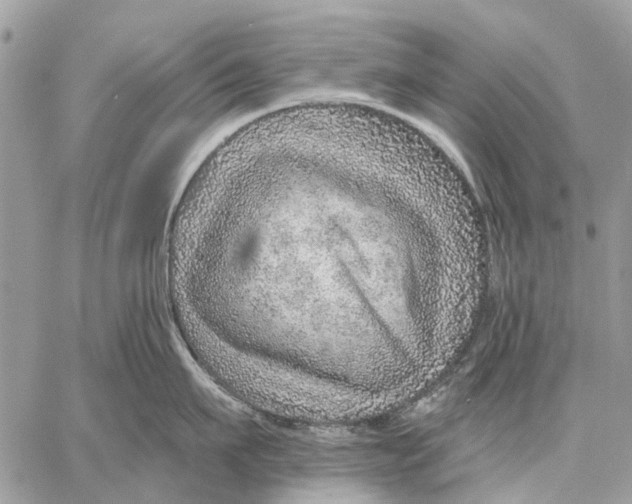 X0000058780911200510211745