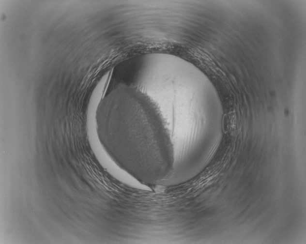 X0000058780916200510211744