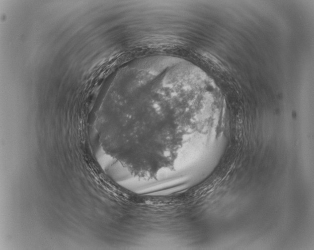 X0000058780917200510211744