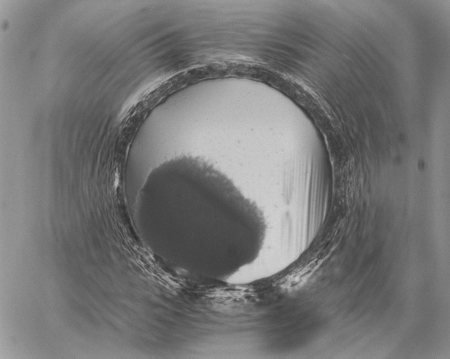 X0000058780919200510211744