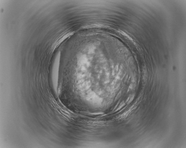 X0000058780921200510211744