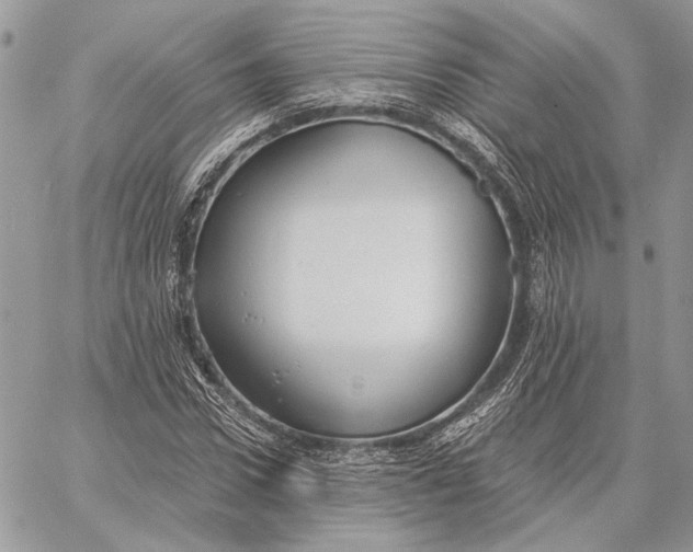 X0000058780922200510211744