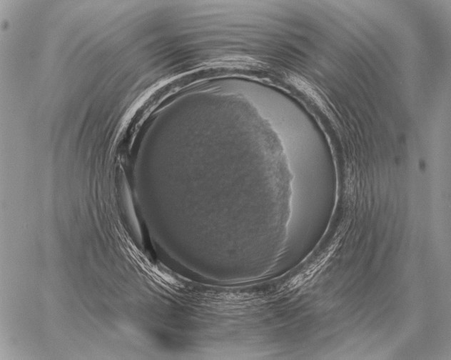 X0000058780923200510211744