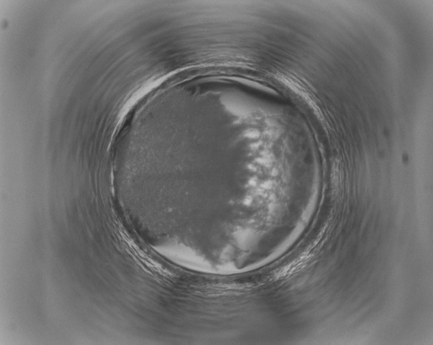 X0000058780925200510211744