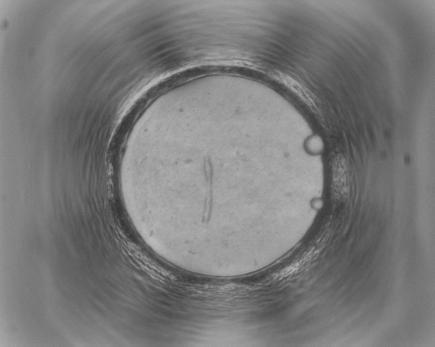 X0000058780926200510211744