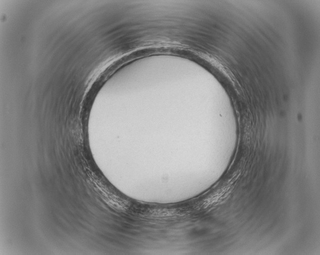 X0000058780927200510211744