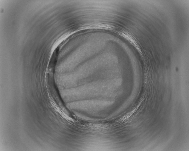 X0000058780928200510211744