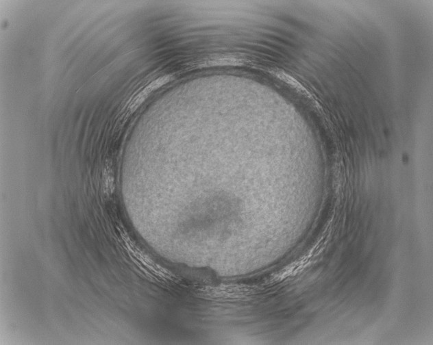 X0000058780929200510211744