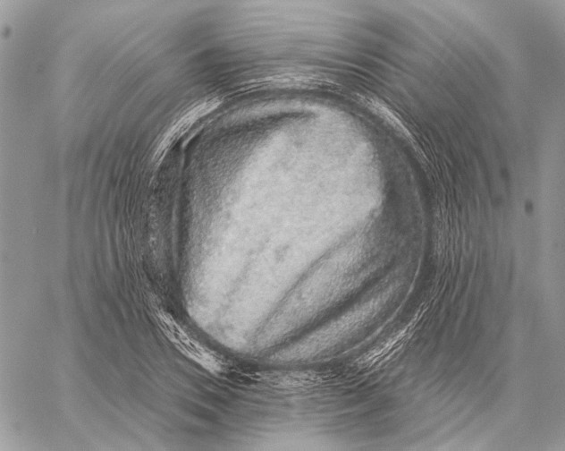 X0000058780930200510211744