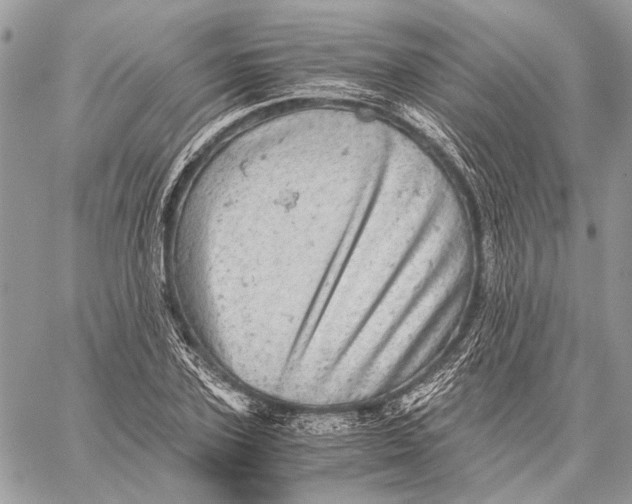 X0000058780931200510211744