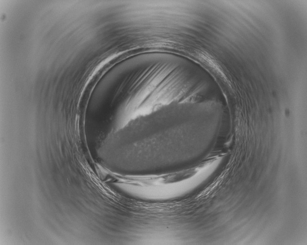 X0000058780932200510211744