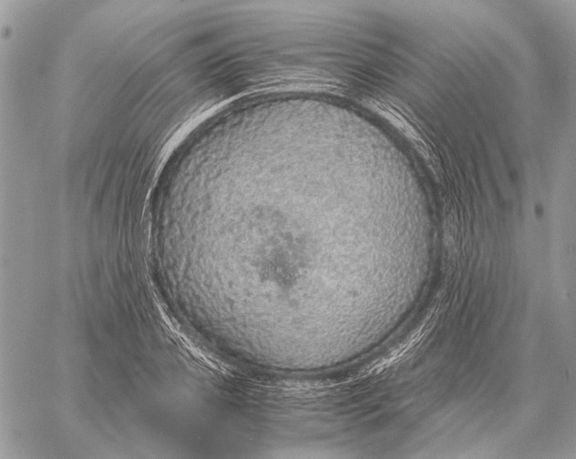 X0000058780933200510211744