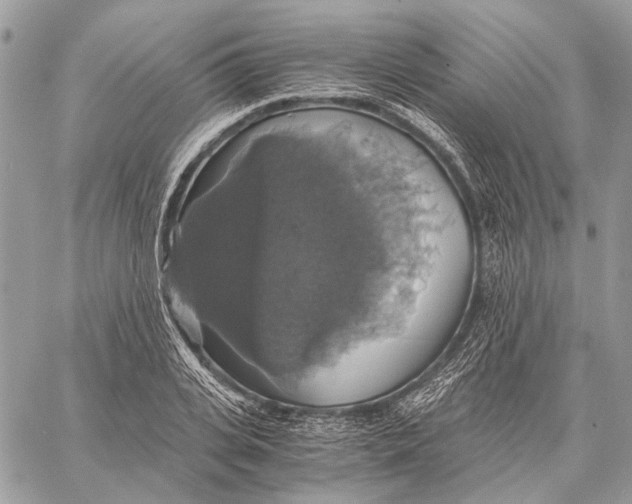 X0000058780935200510211744