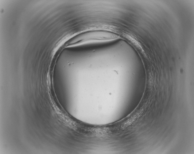 X0000058780936200510211744