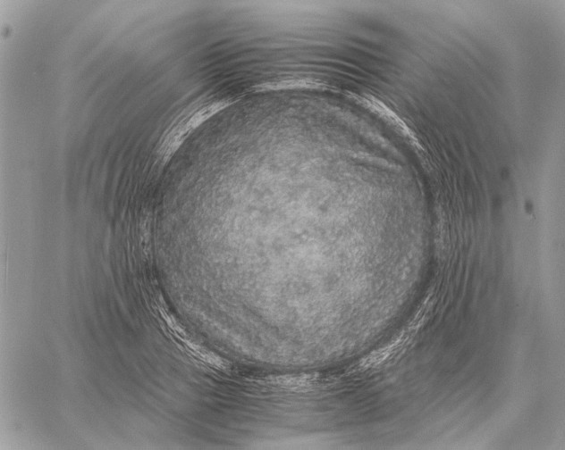 X0000058780937200510211744