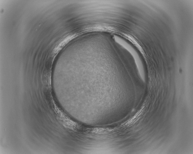 X0000058780938200510211744