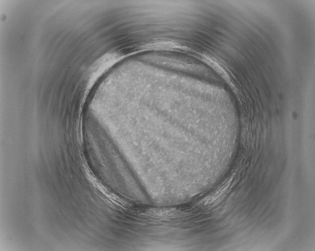 X0000058780939200510211744