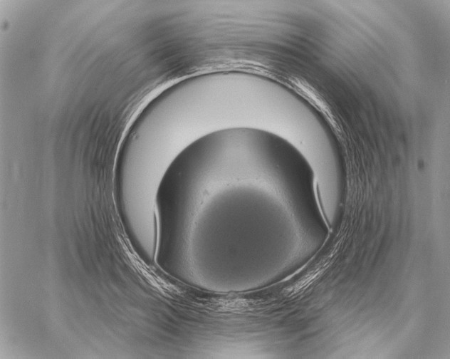 X0000058780940200510211744