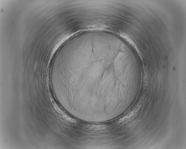 X0000058780941200510211744