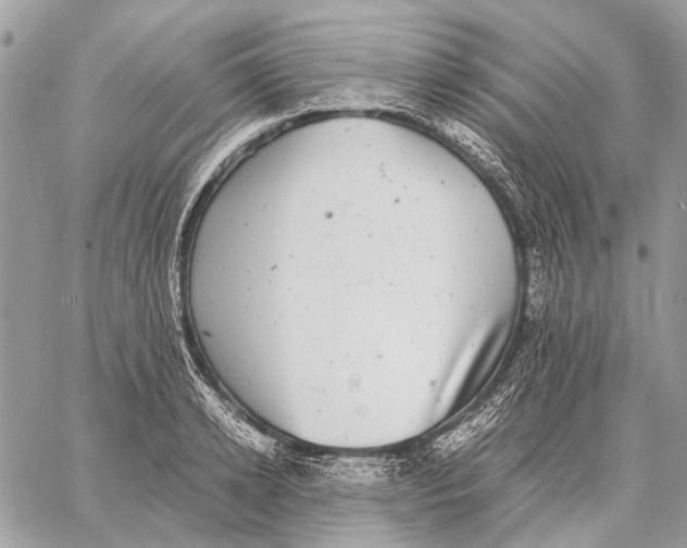 X0000058780942200510211744