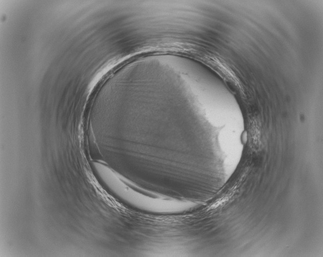 X0000058780944200510211744