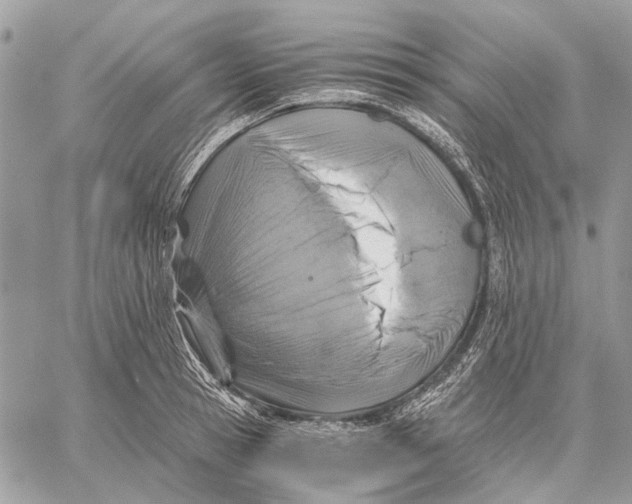 X0000058780945200510211744