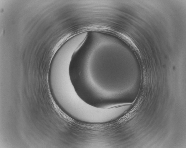 X0000058780946200510211744