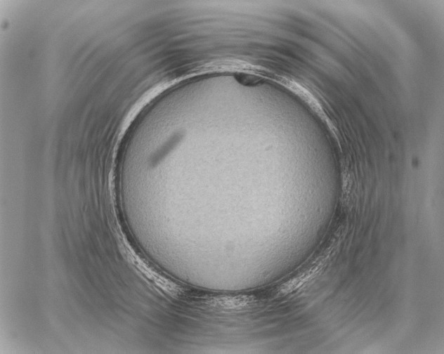 X0000058780947200510211744