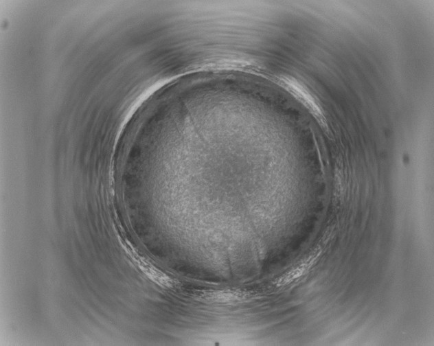 X0000058780948200510211744