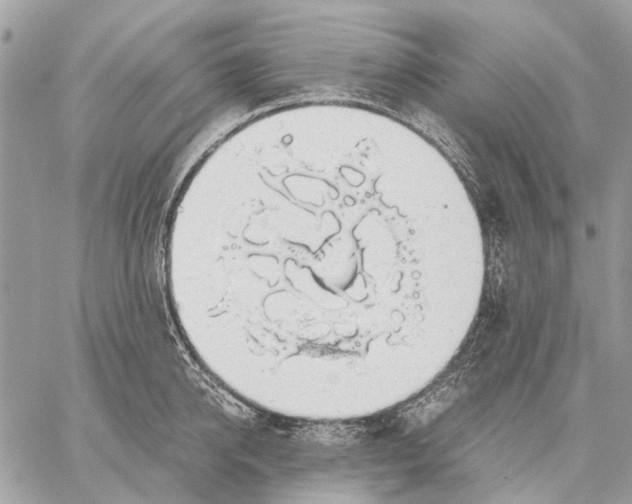 X0000058780950200510211745