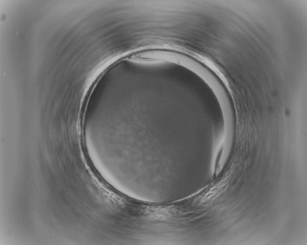 X0000058780951200510211745