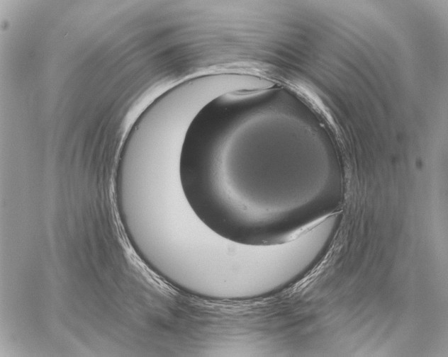 X0000058780952200510211745