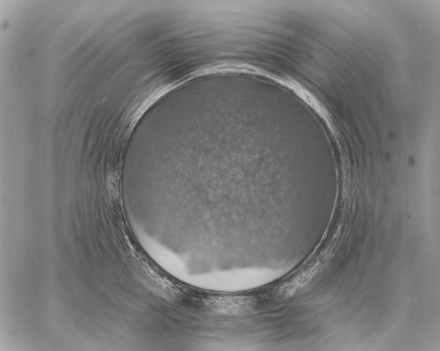 X0000058780953200510211745