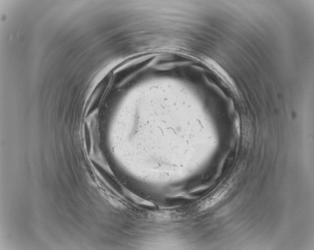 X0000058780956200510211745