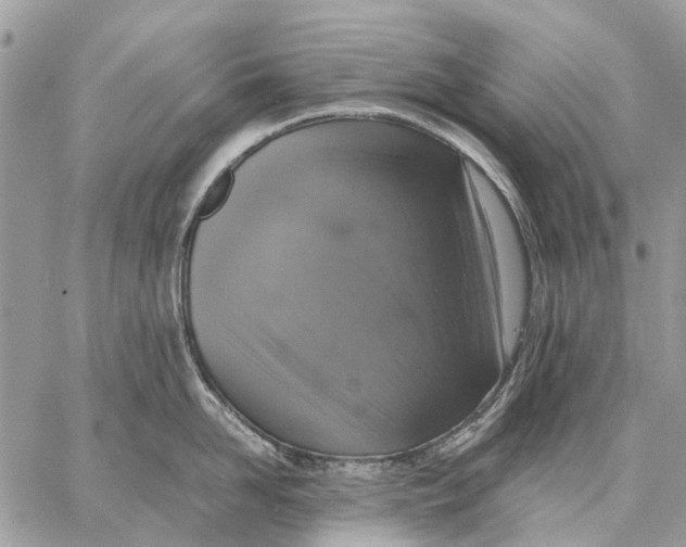 X0000058780958200510211745