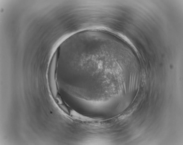 X0000058780959200510211745