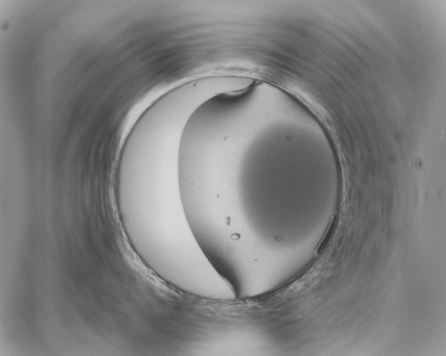 X0000058780960200510211745