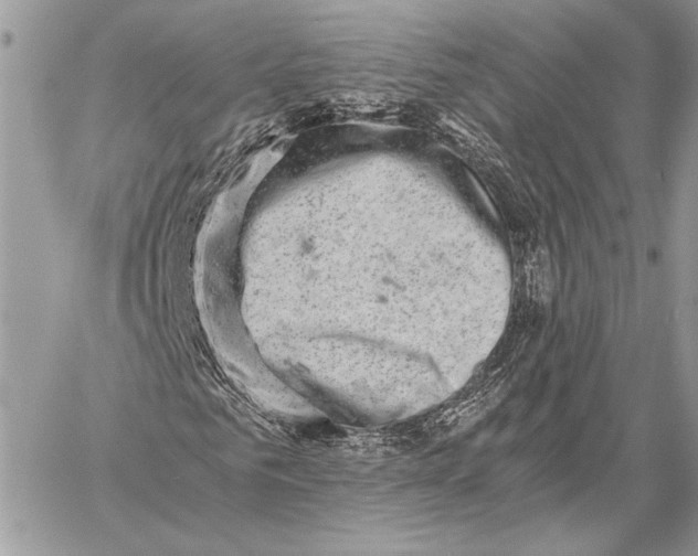 X0000058780961200510211744