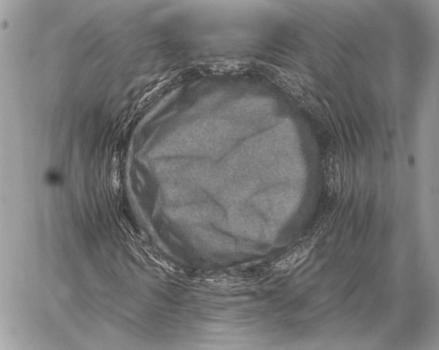 X0000058780962200510211744