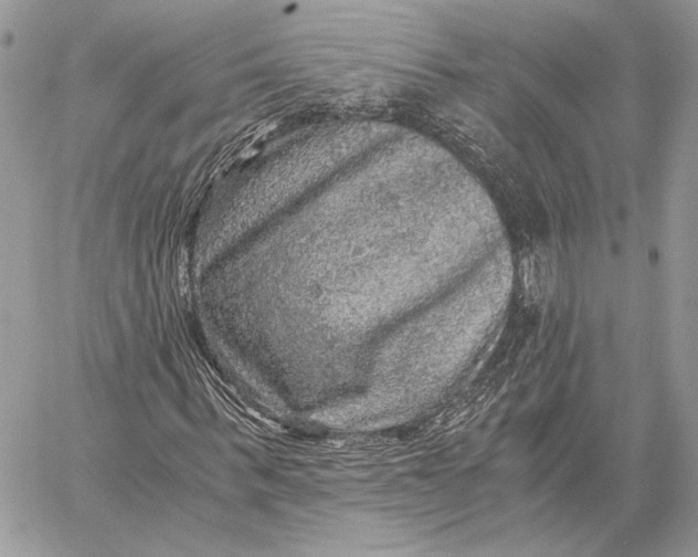 X0000058780963200510211744