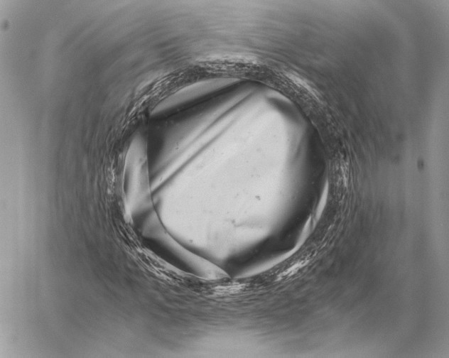 X0000058780965200510211744