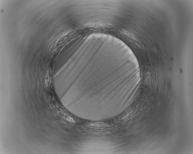 X0000058780966200510211744