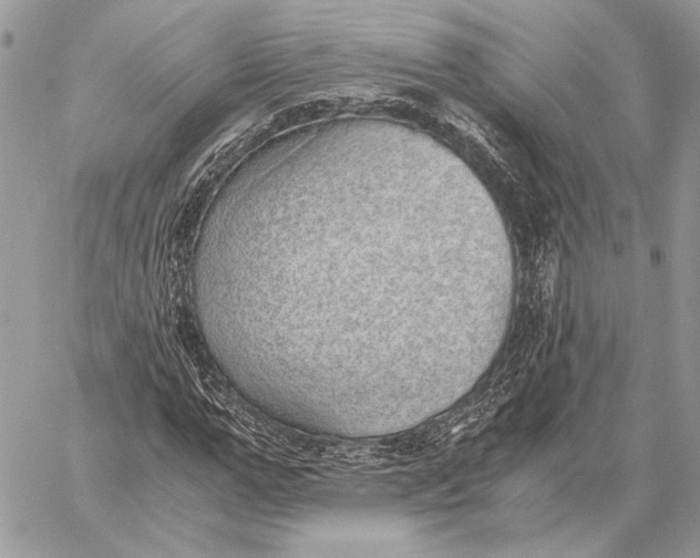 X0000058780967200510211744