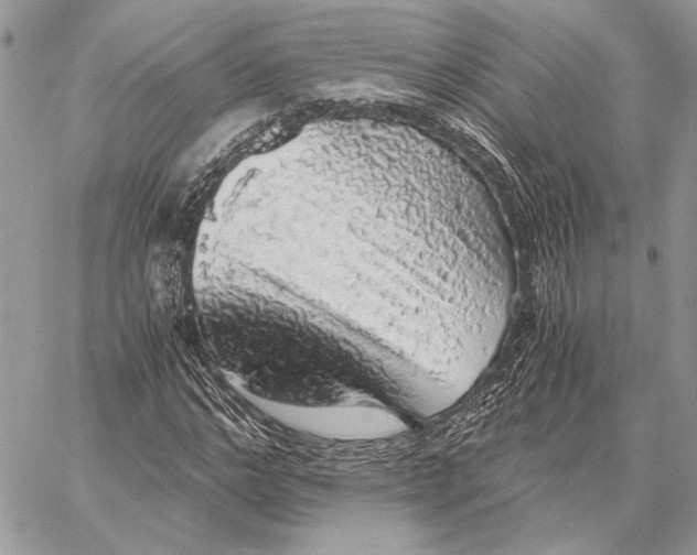 X0000058780968200510211744