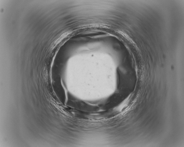 X0000058780969200510211744